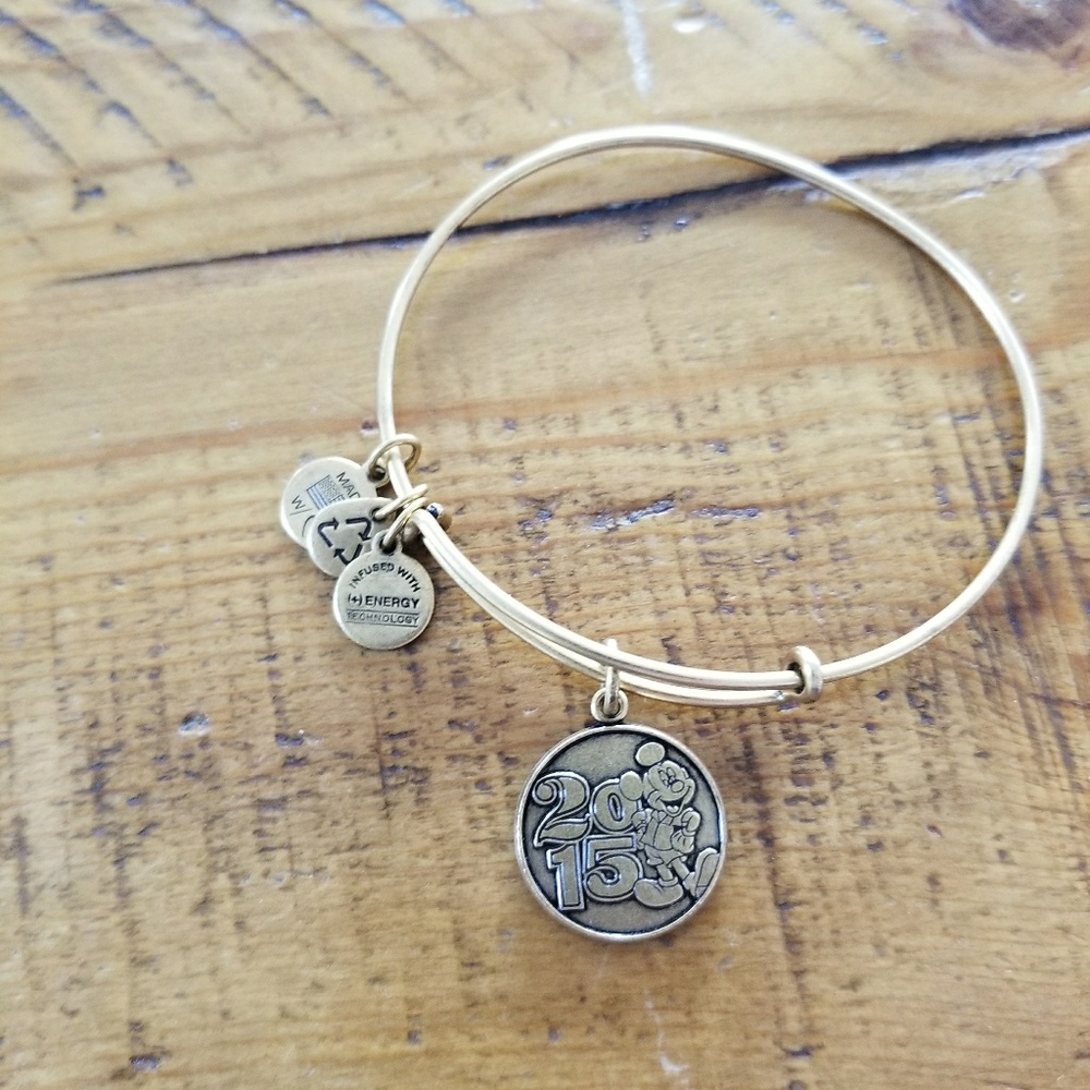 Disney 2015 Alex and Ani